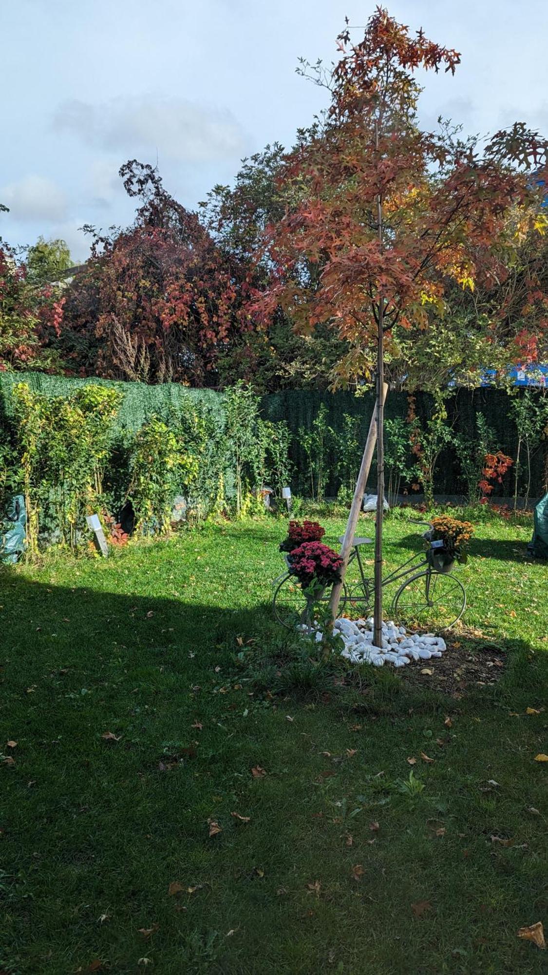 Perle Urbaine : Jardin Spacieux! *